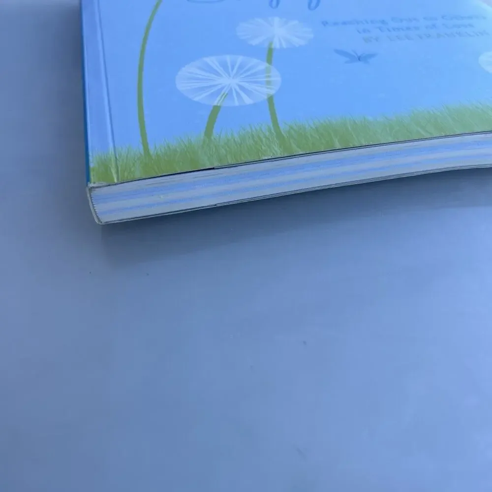 THE ART OF SUPPORT: REACHING OUT TO OTHERS IN TIMES OF By Lee Franklin EXCELLENT